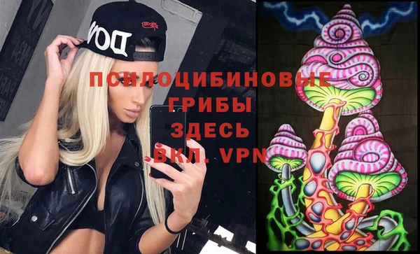 ПСИЛОЦИБИНОВЫЕ ГРИБЫ Алексеевка