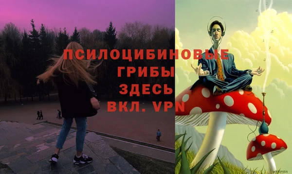 ПСИЛОЦИБИНОВЫЕ ГРИБЫ Алексеевка