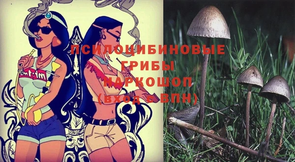 мдпв Алзамай
